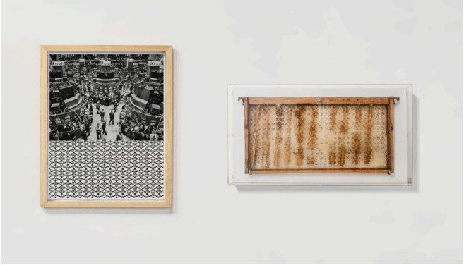 藝術設計｜古巴藝術家 阿拉姆娜．孔蒂諾＆艾利克斯．埃爾南德 雙個展｜設計盒子DESIGN BOX