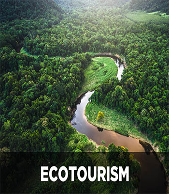 21世紀生態旅遊和生態旅館的發展