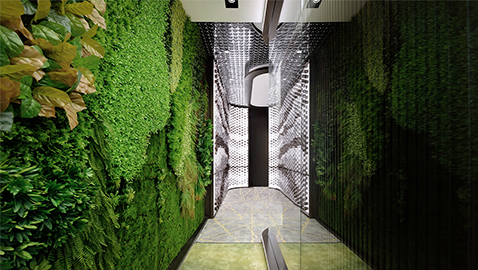 室內設計｜上海集艾設計-未來感的森林系｜設計盒子DESIGN BOX