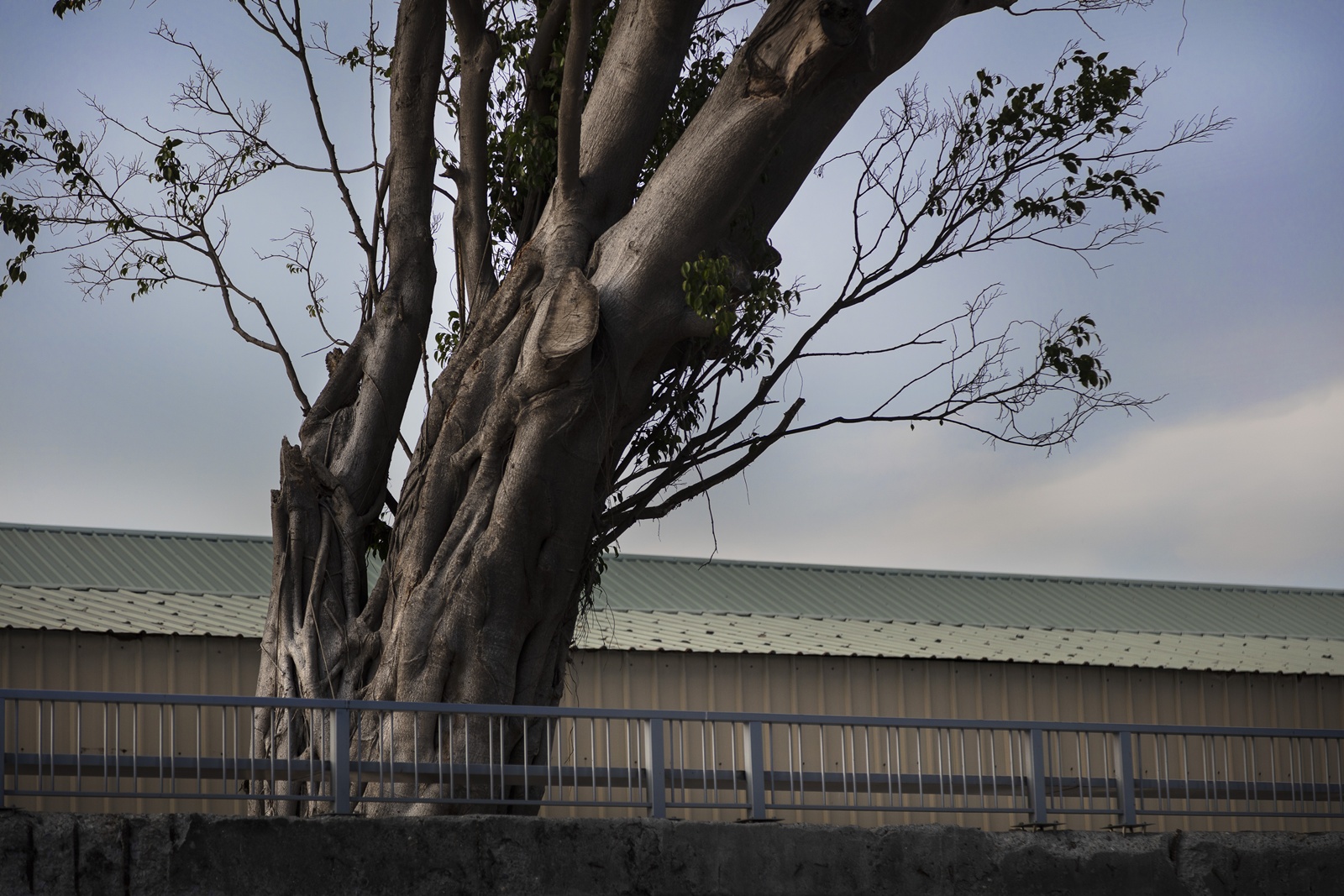 獲獎報導 │《 記憶．傳承 》上境設計 DESIGNBOX設計盒子網路平台10