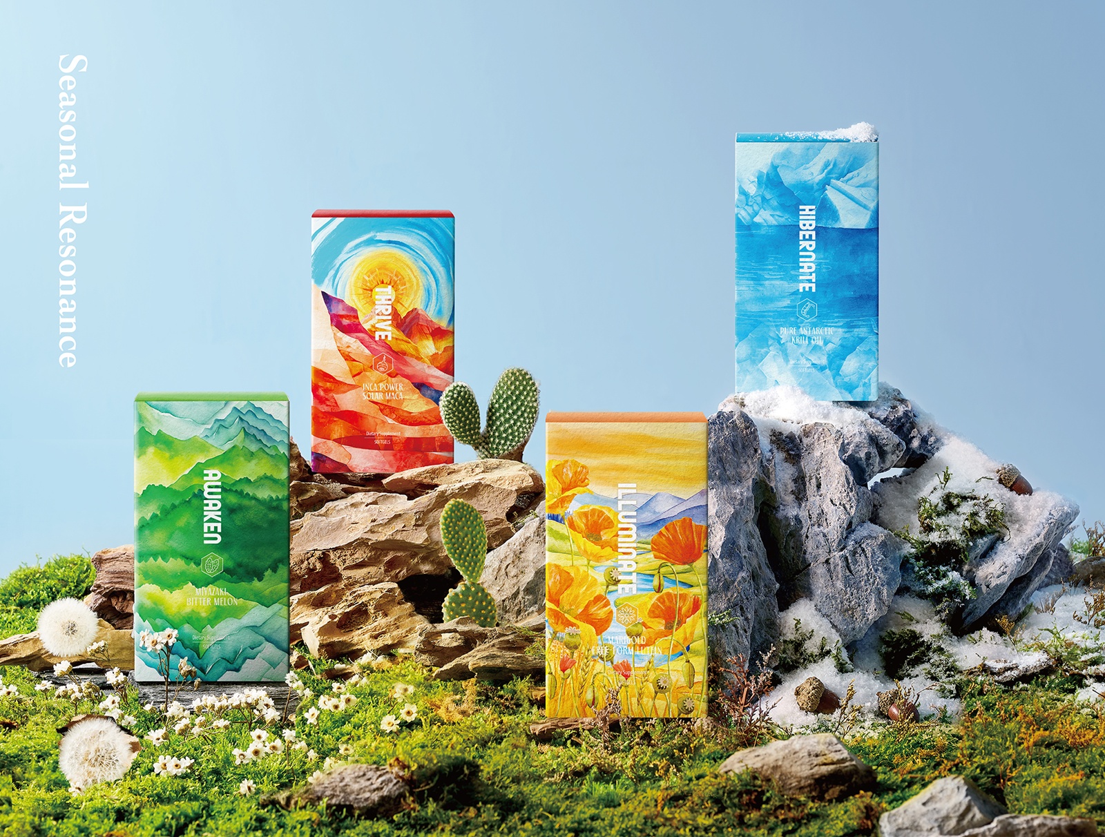 獲獎報導 │《剎那迴響-四季流轉》 銘崎生物 —— 榮獲美國TITAN健康獎 - 金獎 設計盒子 DESIGN BOX 