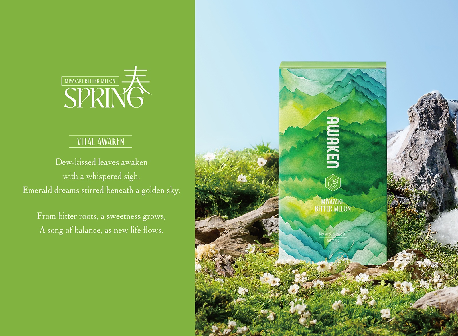 獲獎報導 │《剎那迴響-四季流轉》 銘崎生物 —— 榮獲美國TITAN健康獎 - 金獎 設計盒子 DESIGN BOX 7