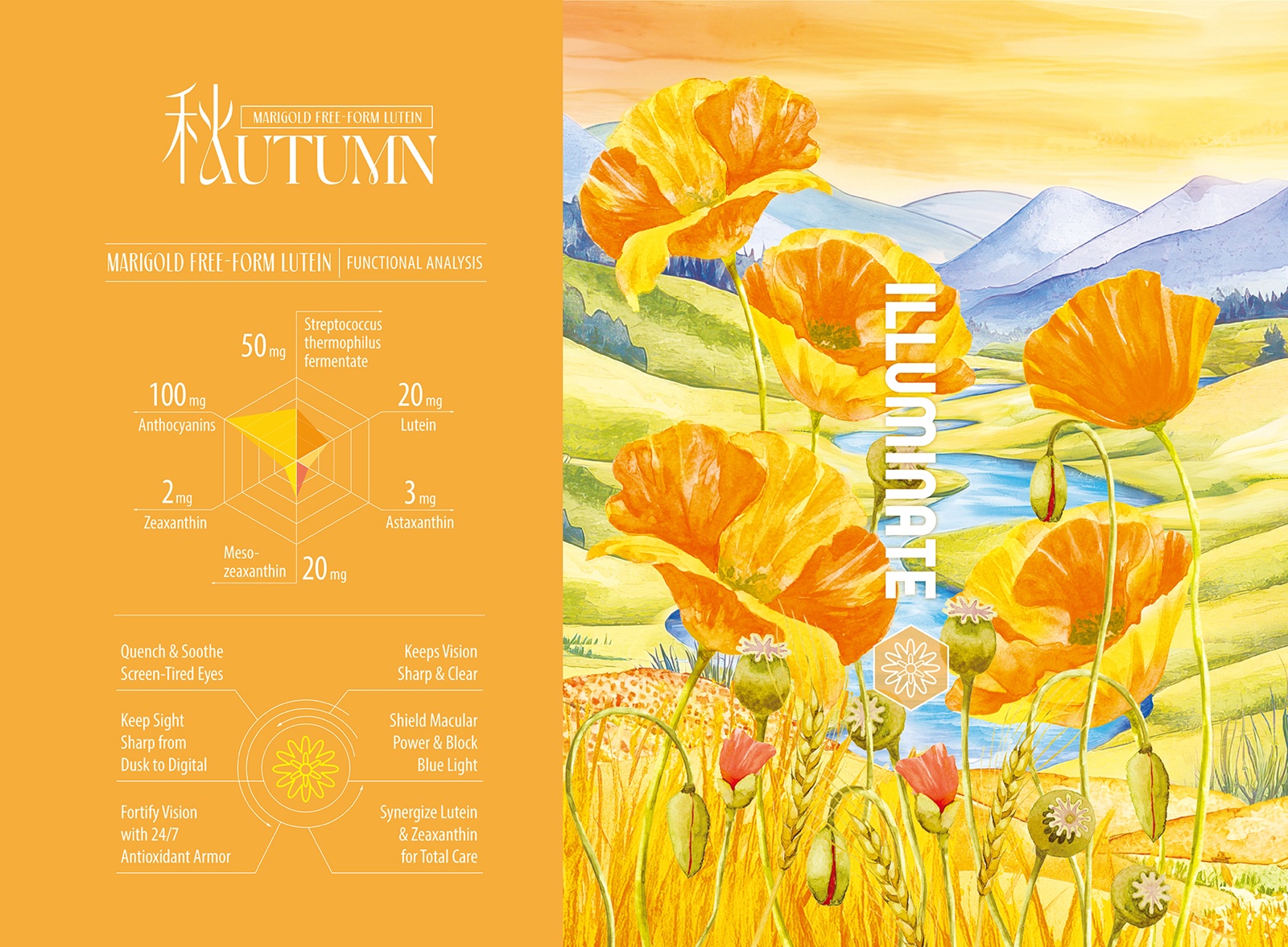 獲獎報導 │《剎那迴響-四季流轉》 銘崎生物 —— 榮獲美國TITAN健康獎 - 金獎 設計盒子 DESIGN BOX 9
