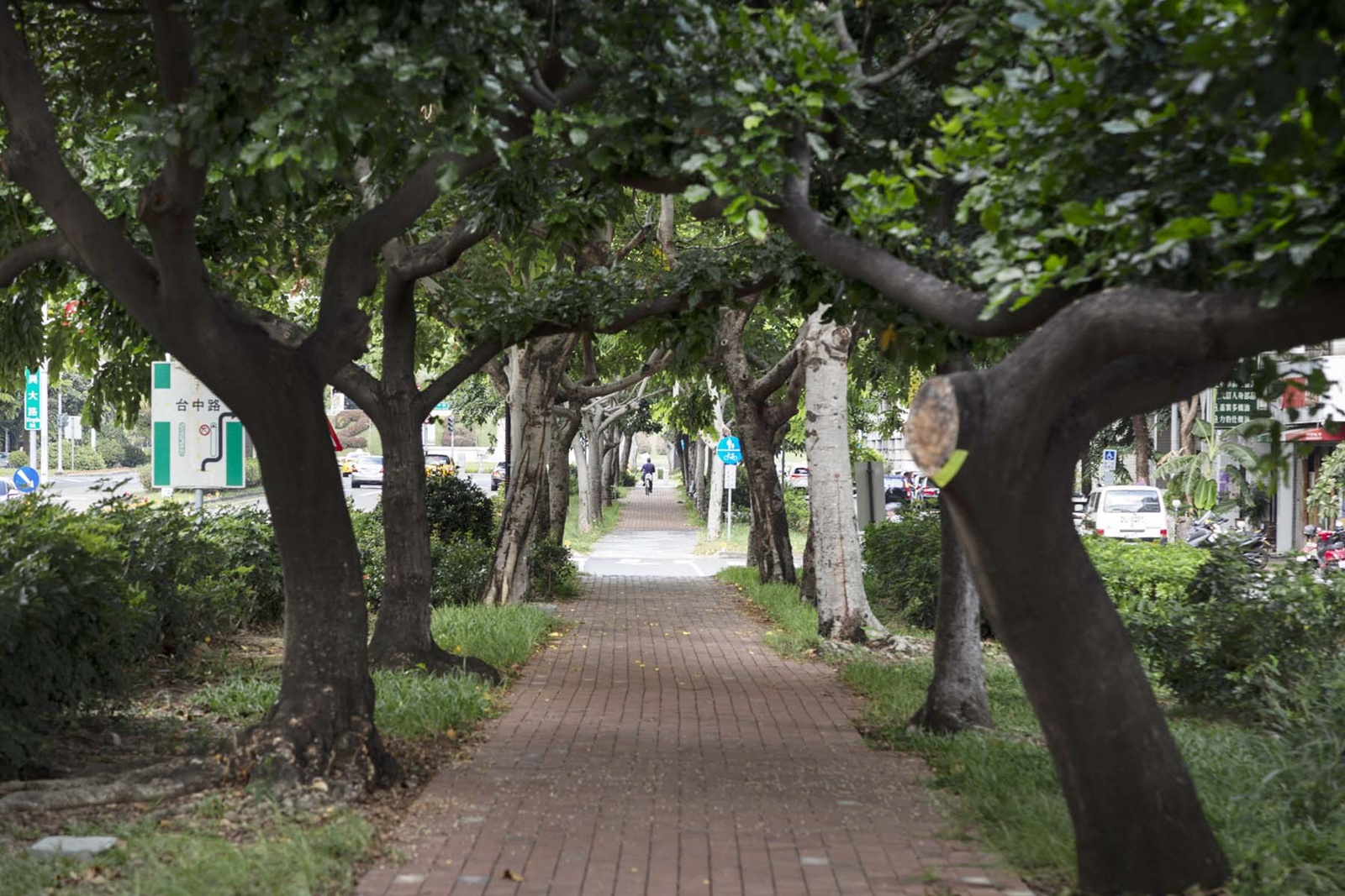 設計獎項新訊 │《 織園 》上境設計 設計盒子 DESIGN BOX 8