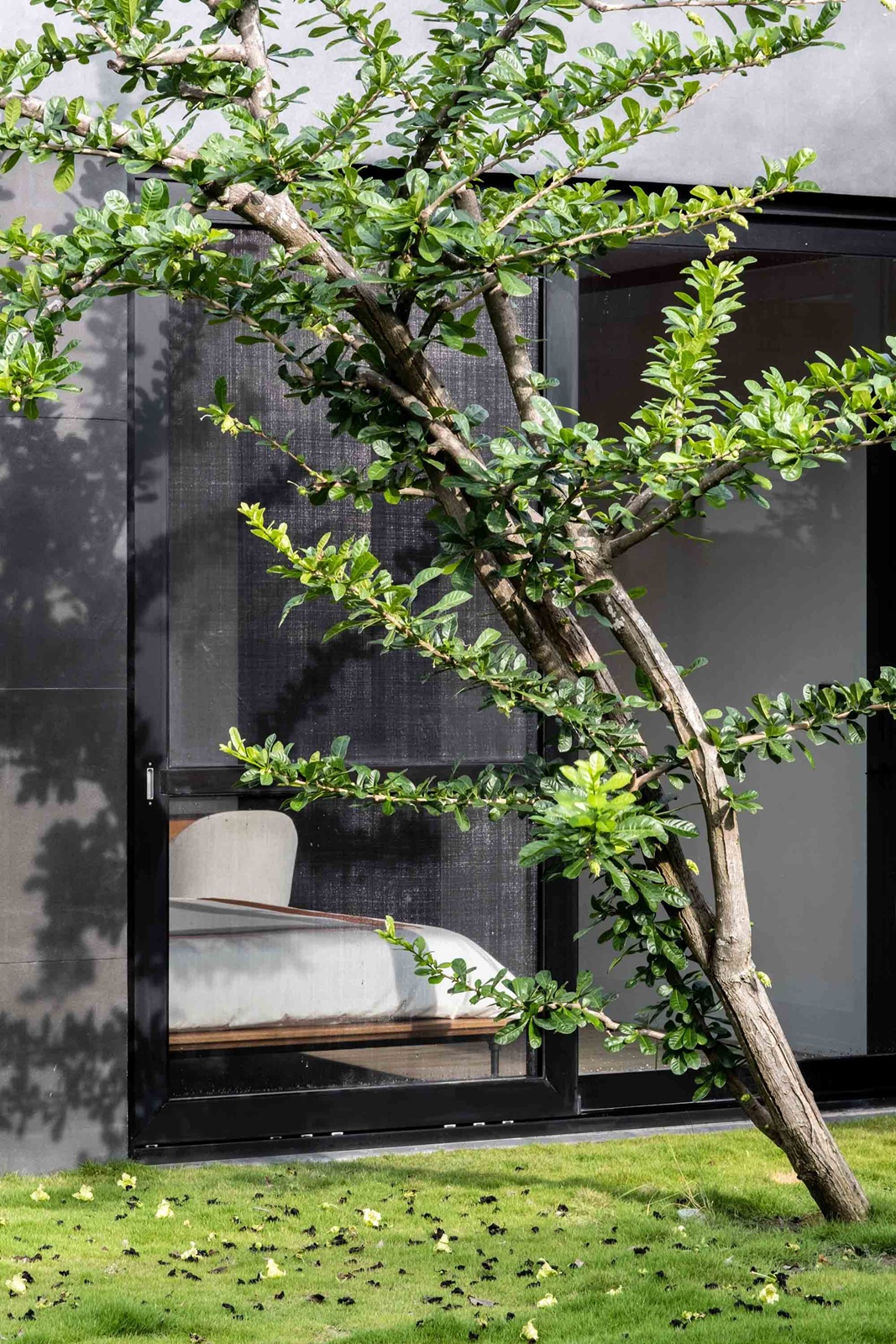 設計獎項新訊│《蒼翠迴廊》禹樂空間整合 呂明志 設計盒子 DESIGN BOX 10