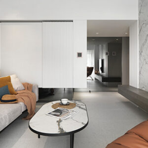 隱寓拾光 Veiled Luminosity