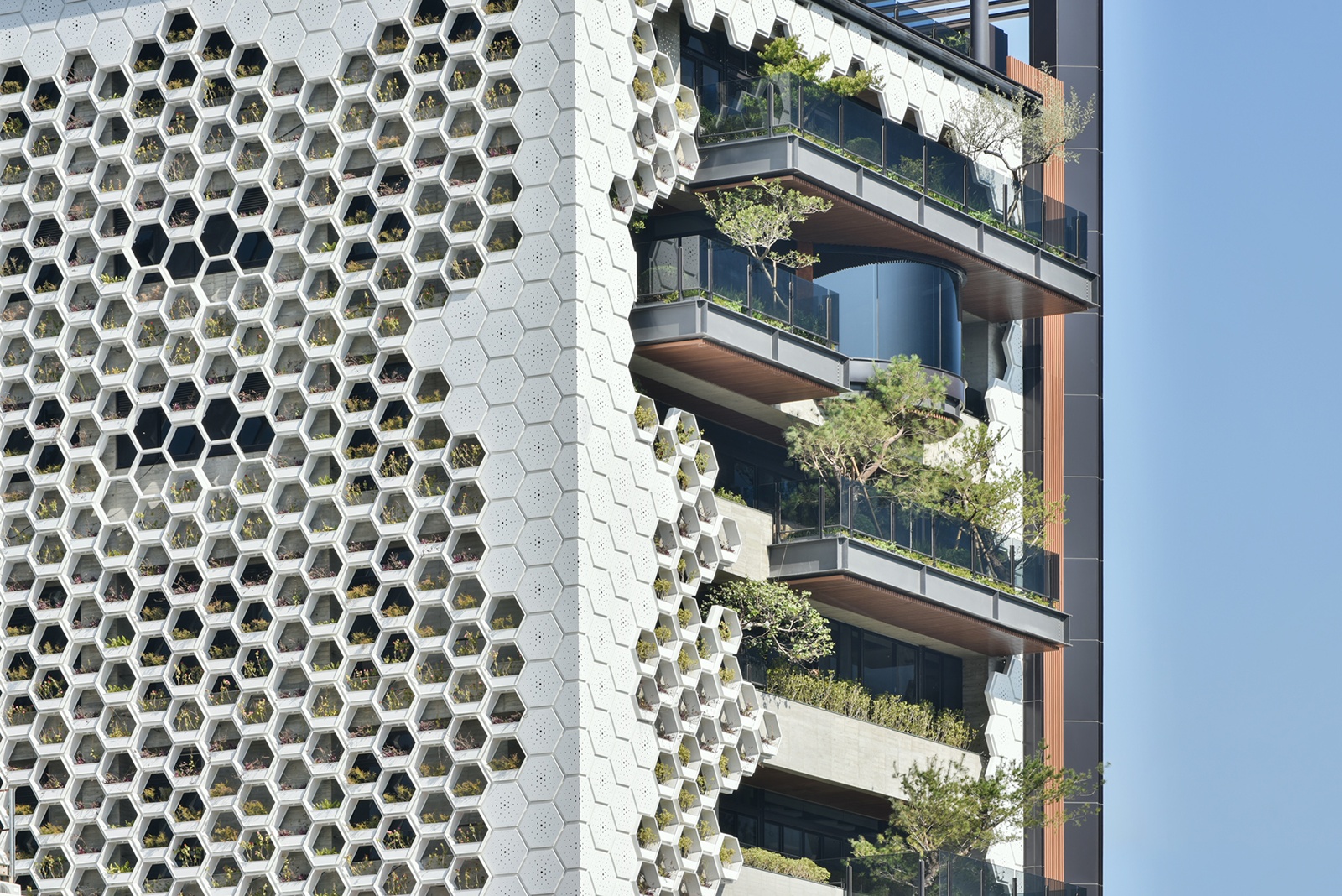 國際競賽報名代辦 │《丰二三》晨禎營造股份 黃志東 設計盒子DESIGN BOX2