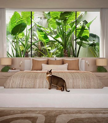 靜謐綠洲・想像著陸 ｜ 邁阿密。Miami Home