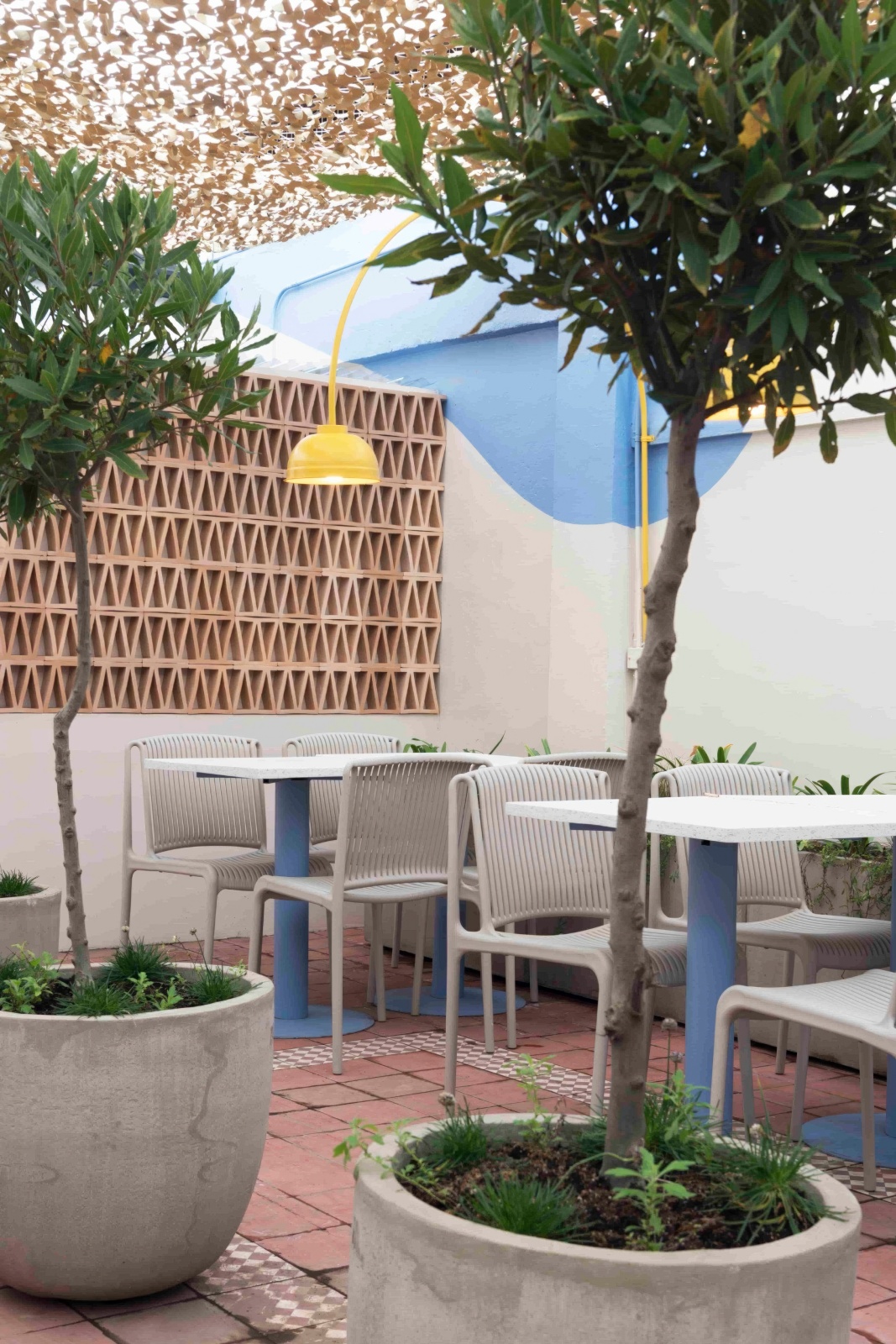 觀光旅遊專題研究 │ 智利-卡拉科爾咖啡館 Caracol Coffee House8