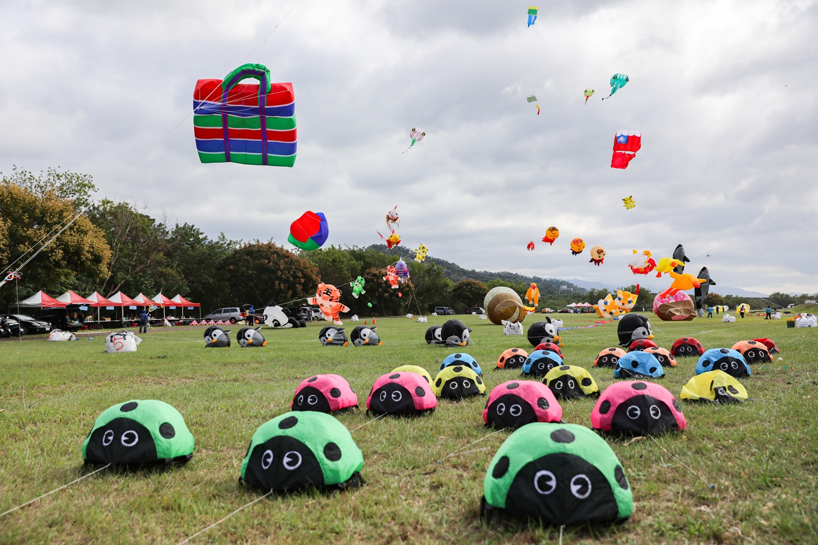 獲獎報導  │《 苗栗2025風箏文化暨客家美食節 》現代視覺 設計盒子DESIN BOX2