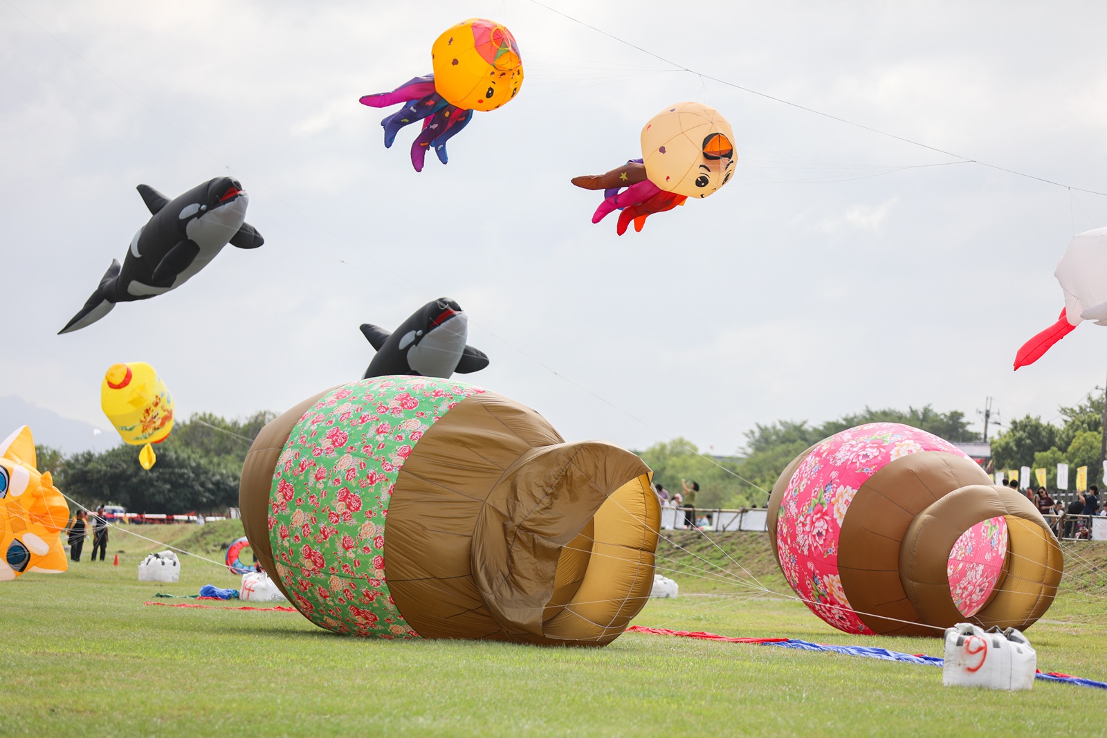 獲獎報導  │《 苗栗2025風箏文化暨客家美食節 》現代視覺 設計盒子DESIN BOX8